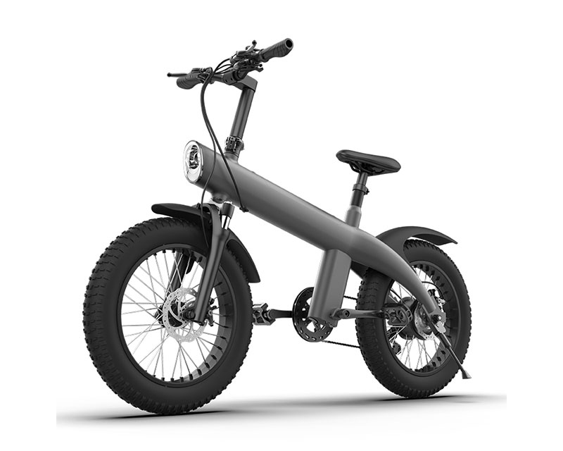 Q3-750W 20*4.0 Inch Fat Tire All-terrain Off-Road Electric Bicycle