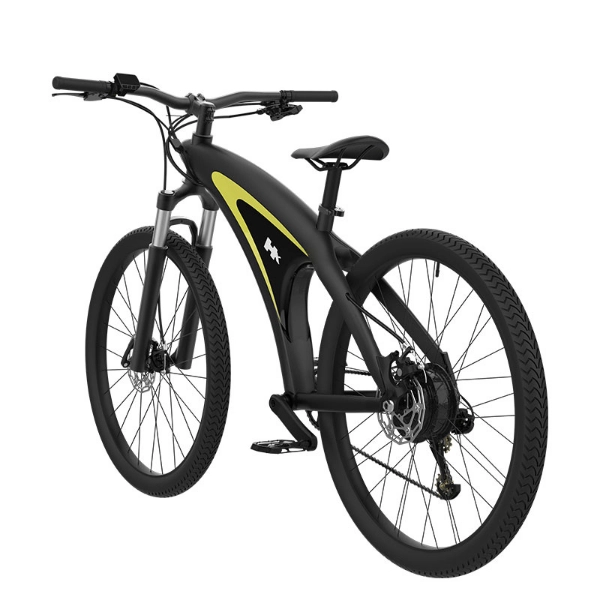 Long Range Adult Electric Mountain Bike