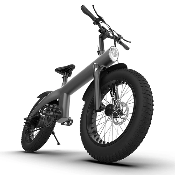 Daily Maintenance of Portable Folding Electric Mountain Bikes