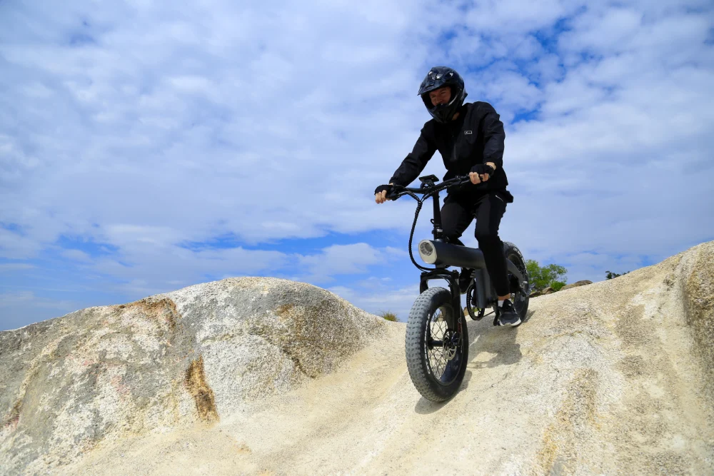 Folding Electric Off-Road Mountain Bike