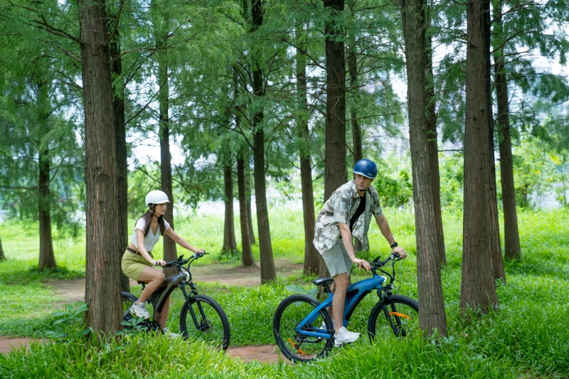 Exploring the Future of Outdoor Adventures: The Long Range Foldable Electric Mountain Bike